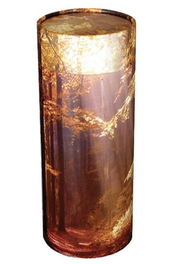 Autumn Woods Scattering Tube