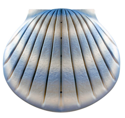 Shell Deep Water Aqua